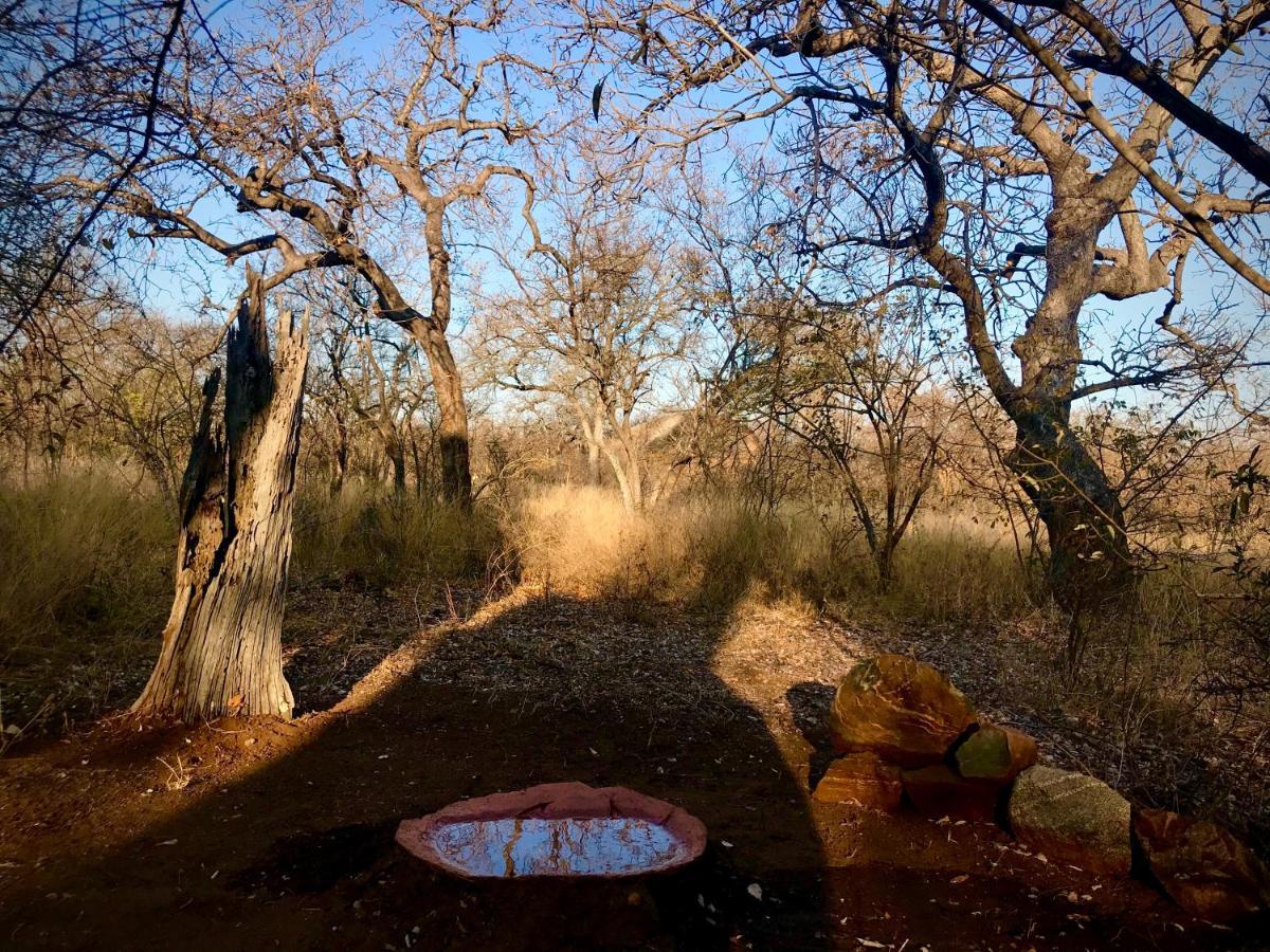 The Bush Hut Villa Hoedspruit Exteriör bild